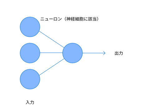 神経細胞