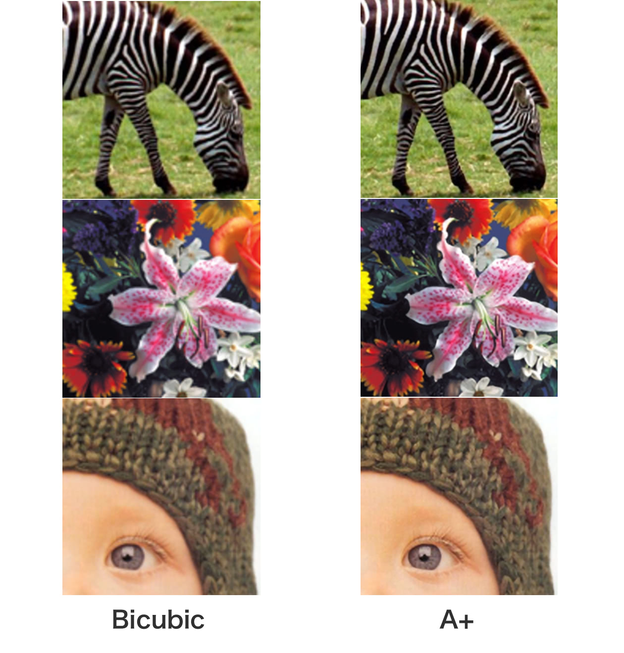 Bicubic-A+